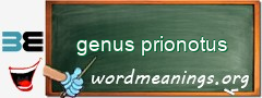 WordMeaning blackboard for genus prionotus